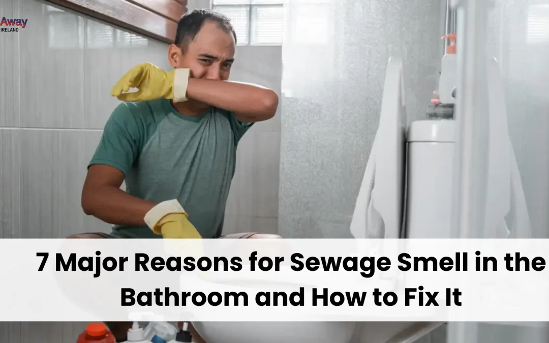 7 Major Reasons for Sewage Smell in the Bathroom and How to Fix It