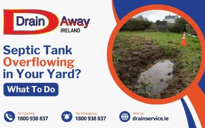 Septic Tank Overflowing in Your Yard? What To Do