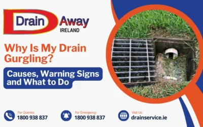 Why Is My Drain Gurgling? Causes, Warning Signs and What to Do