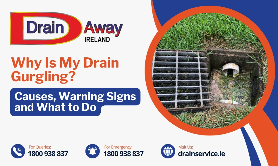 Why Is My Drain Gurgling? Causes, Warning Signs and What to Do
